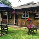 Lovely Garden Chalet In London