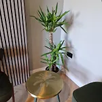 Stylish Bedroom Zone 1