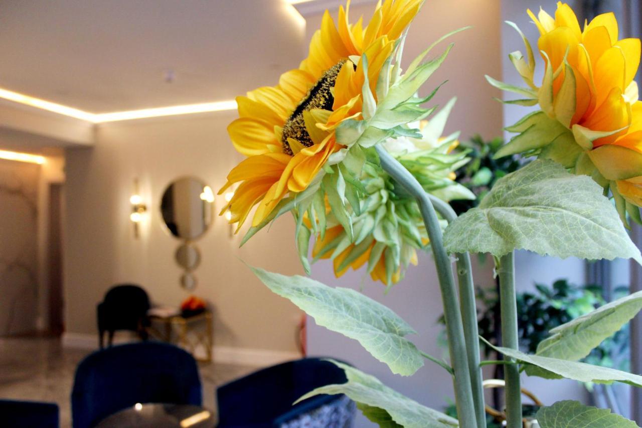 Nox Waterloo Apartahotel 4*