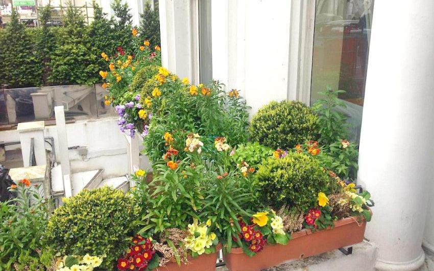 Holland Hotel London