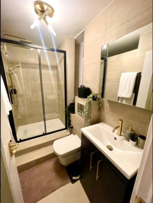 Luxury 3 Bedroom 3 And A Half Bathroom Flat In Swiss Apartment