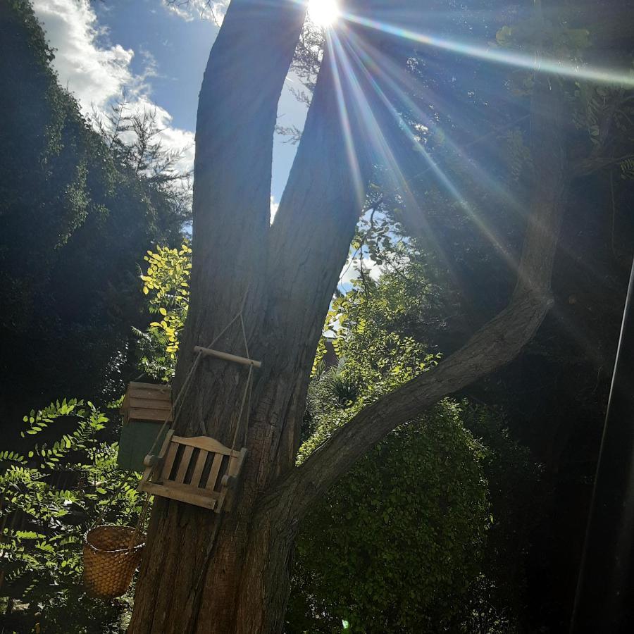 Privat overnatting The Oak Tree *