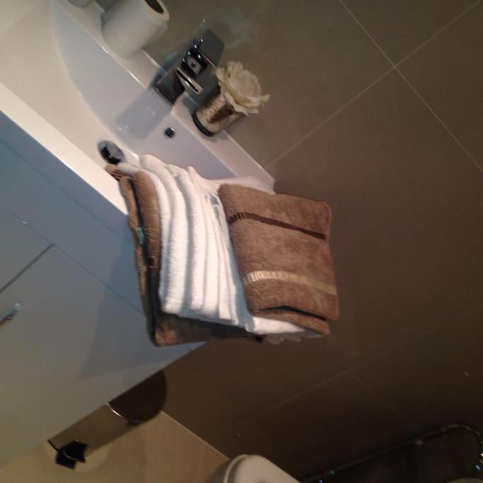 Apartment Luxury 3-bedroom Townhouse In Hackney