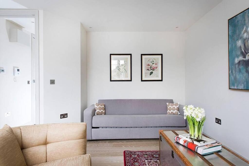 Recently Redecorated Spacious And Modern 1br Flat In West Apartment