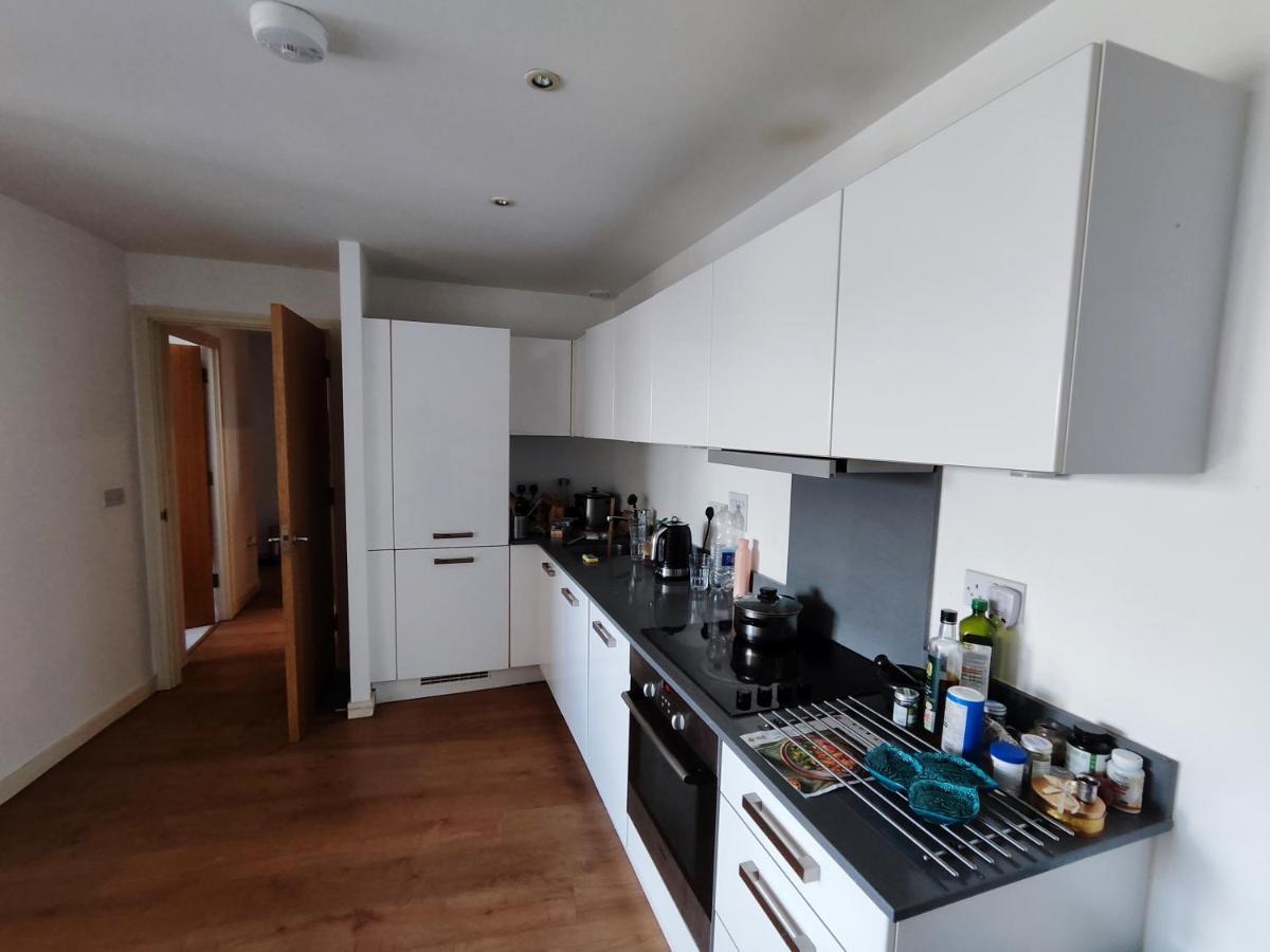 Appartement Cosy And Spacious In Forest Hill Londen