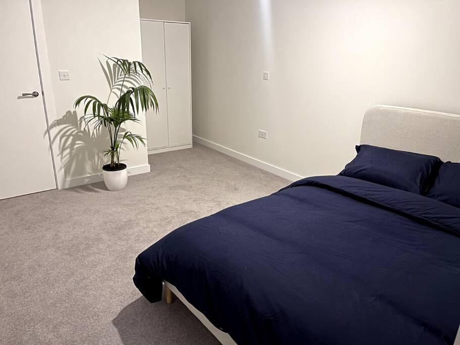 Beautiful One-bed In White City! London