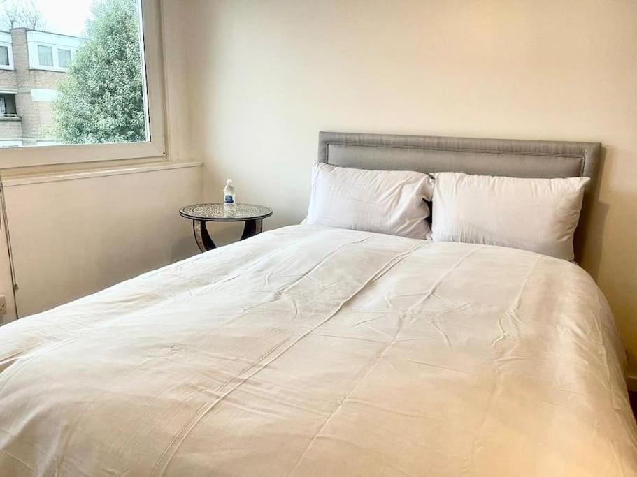 Newly Renovated 2 Bedroom Appartement Londen
