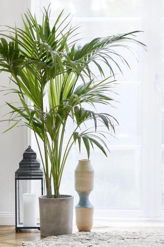 Leilighet Beautiful And Charming Near Boxpark London