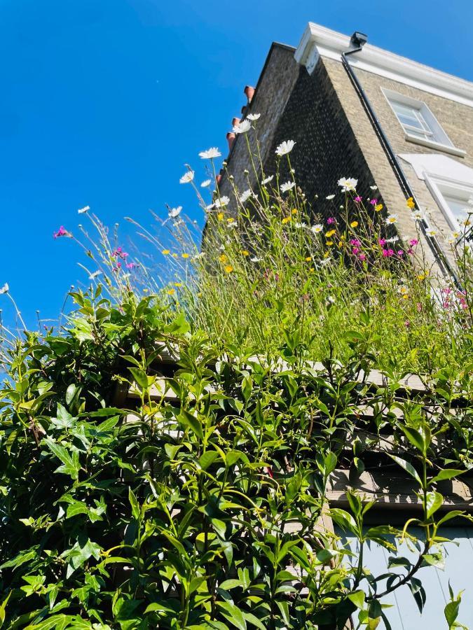 Guest house Camden Town Garden