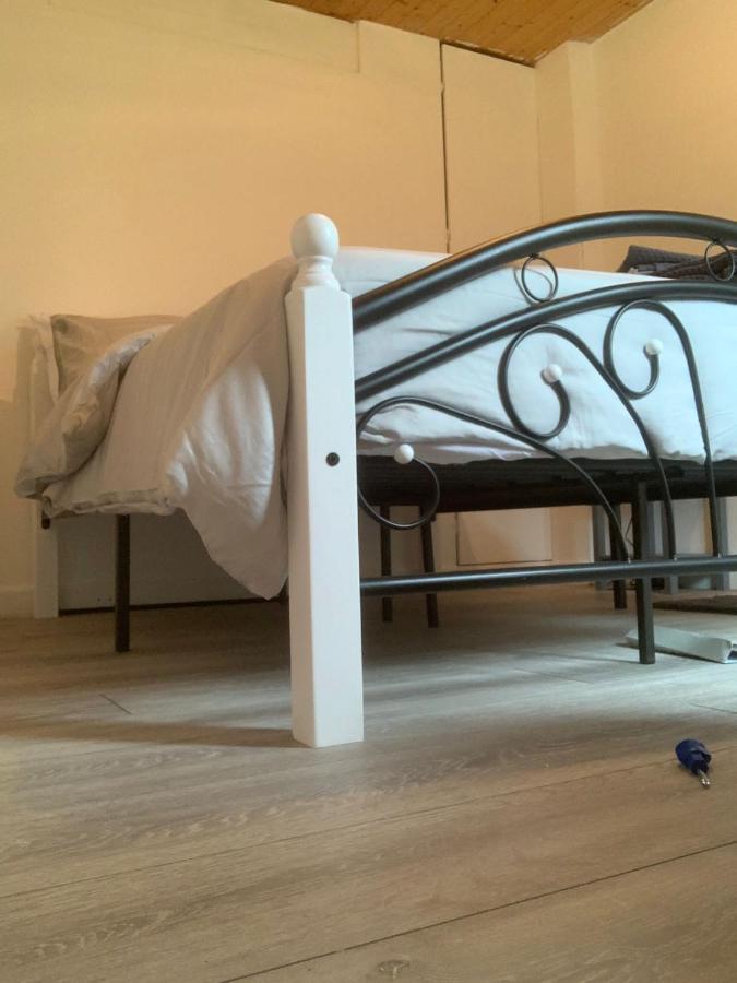 Alpha House Bed & Breakfast Londen