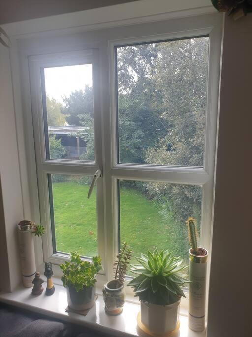 Peaceful On Sharing Flat In Wimbledon Londen