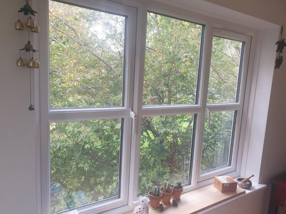 Peaceful On Sharing Flat In Wimbledon Londen