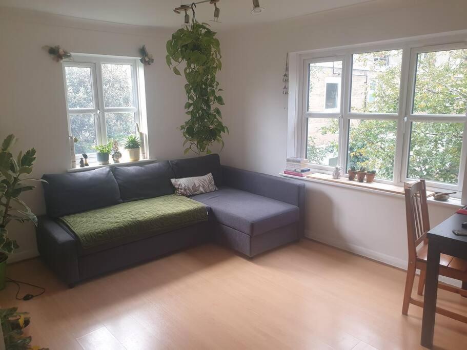 Peaceful On Sharing Flat In Wimbledon Appartement