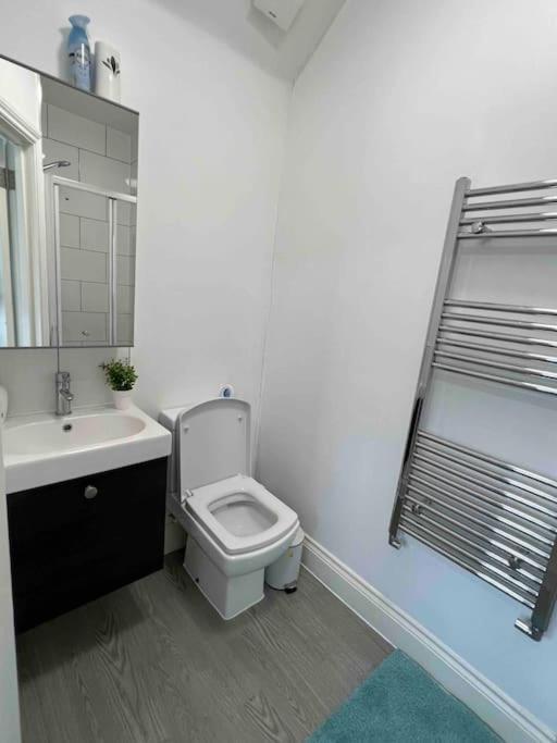 Charming 30min To Appartement Londen