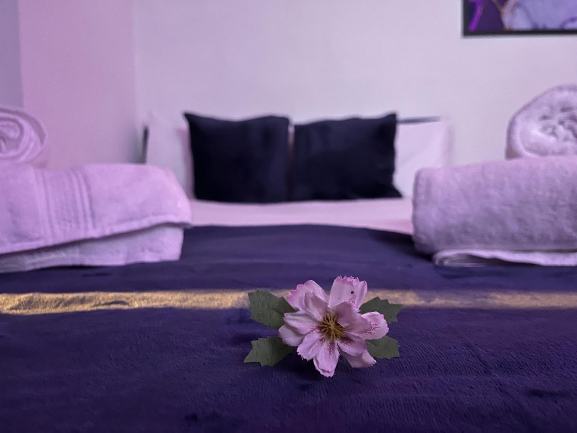Apartment In Camden, Location