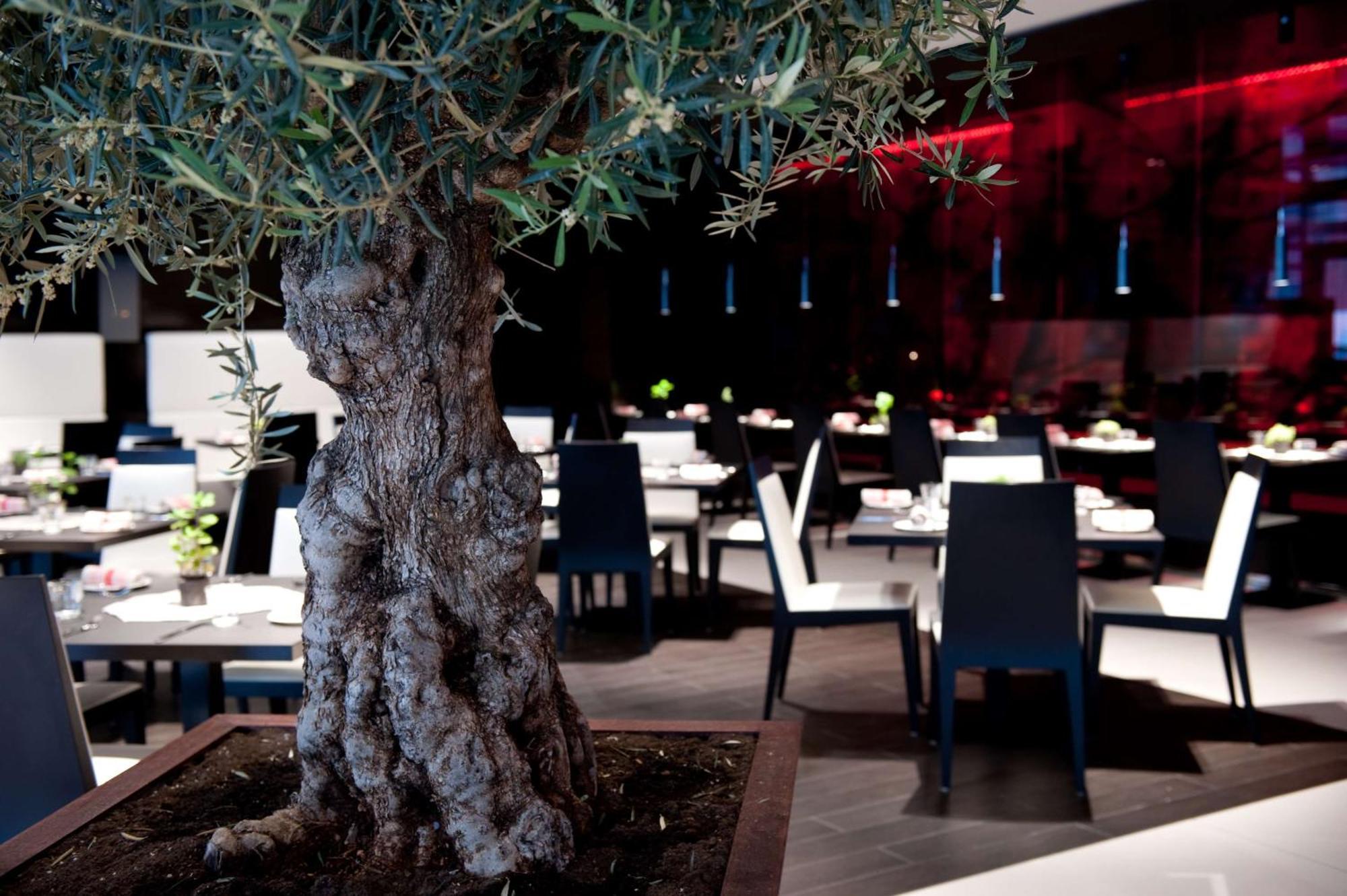 Park Plaza Westminster Bridge Hotell 4*