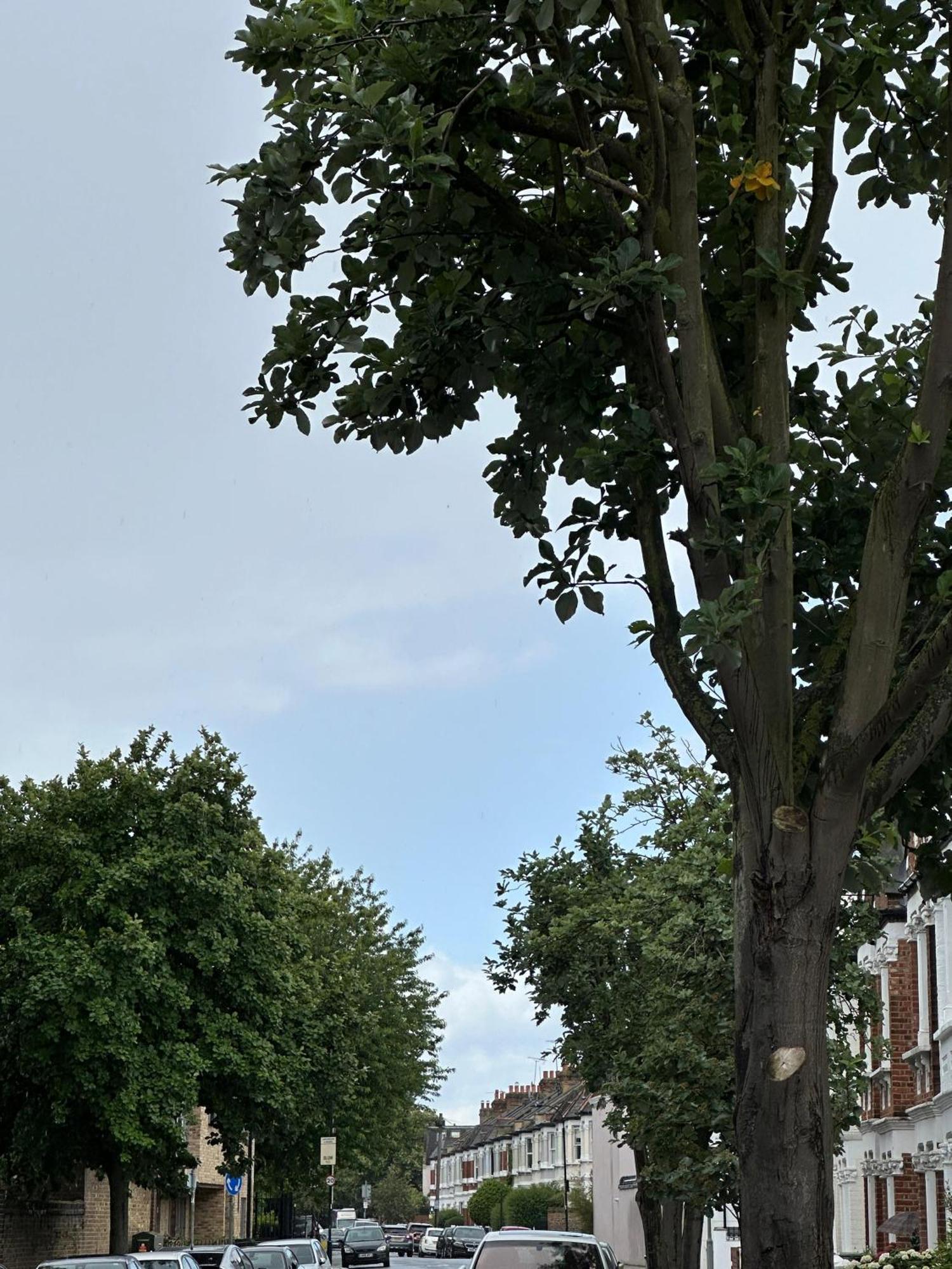 Leilighet Budget 2 Bedroom Close To Hyde Park *