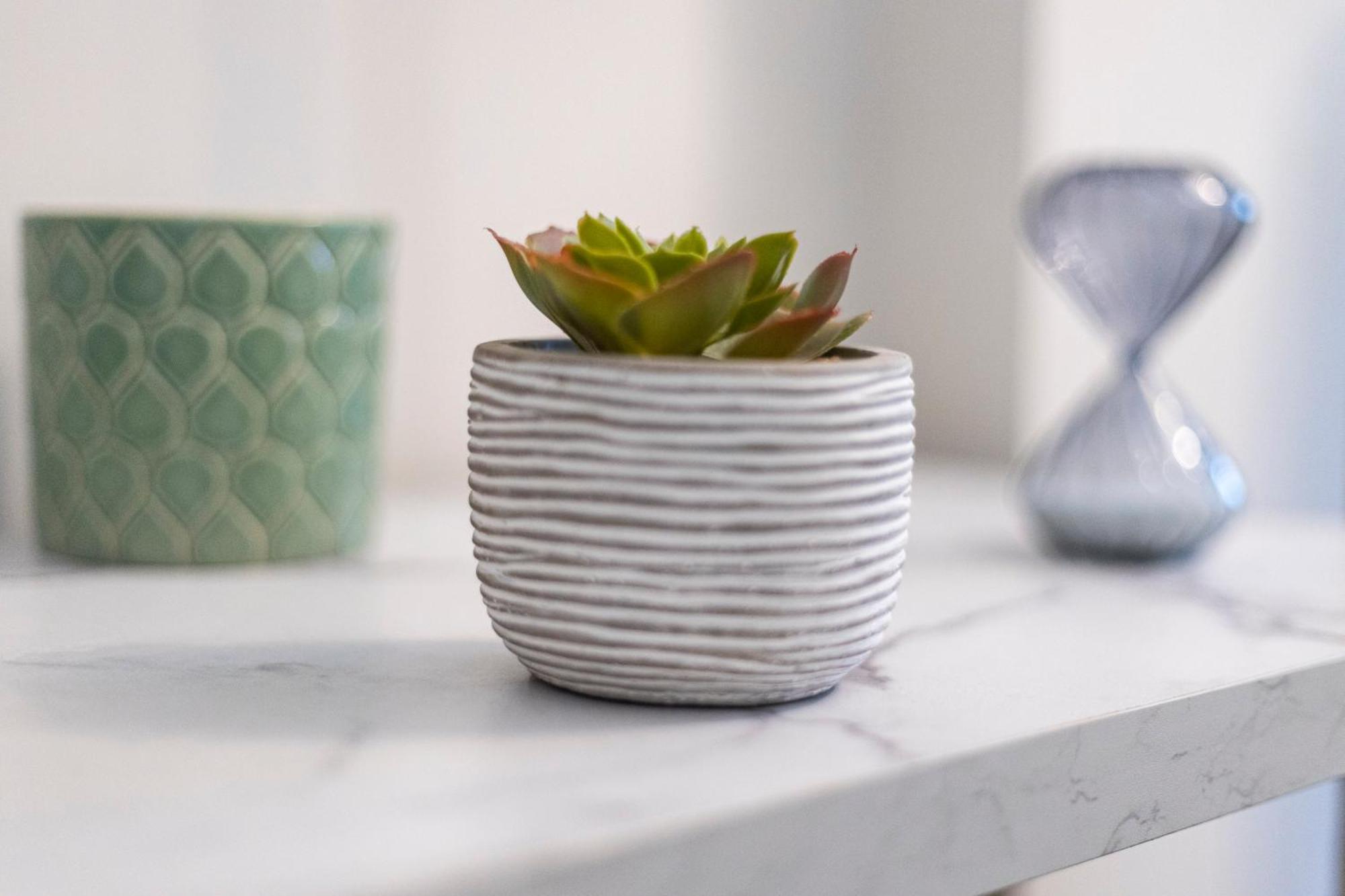 Leilighet Bright And Airy With Minimalist Charm