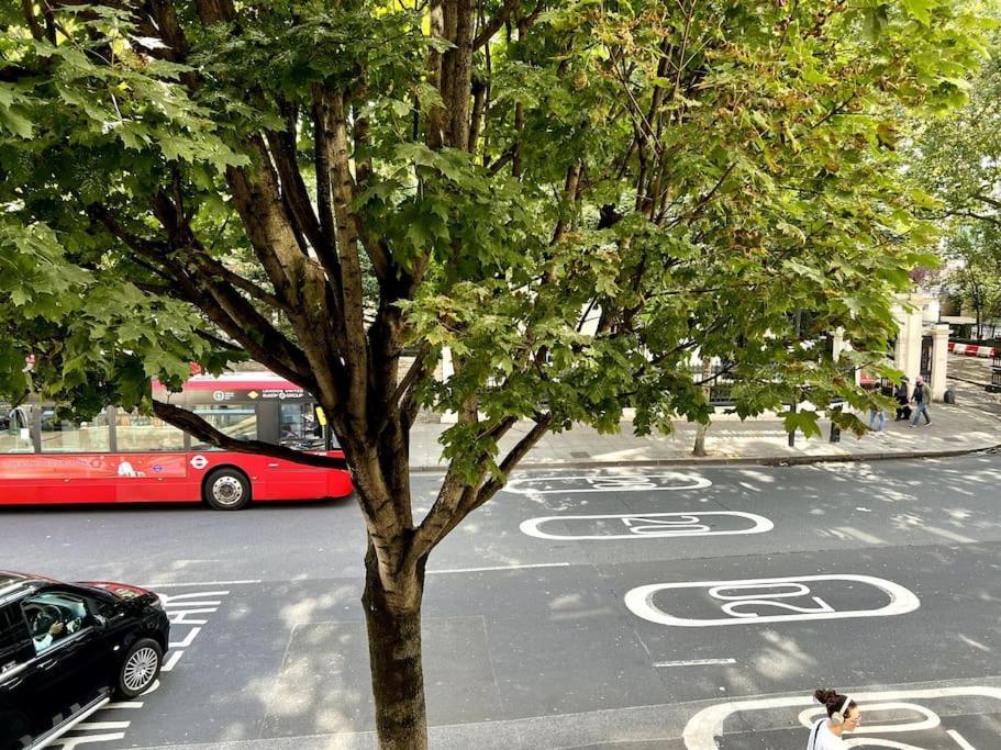 Spacious 2br Flat Near Hyde Park Apartment