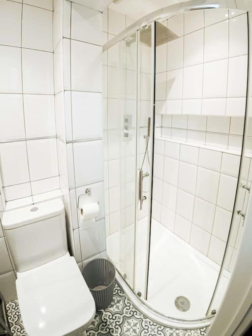 House With Garden Stoke Newington Apartment London