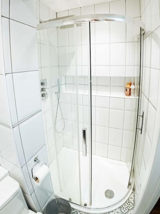 Apartment House With Garden Stoke Newington London