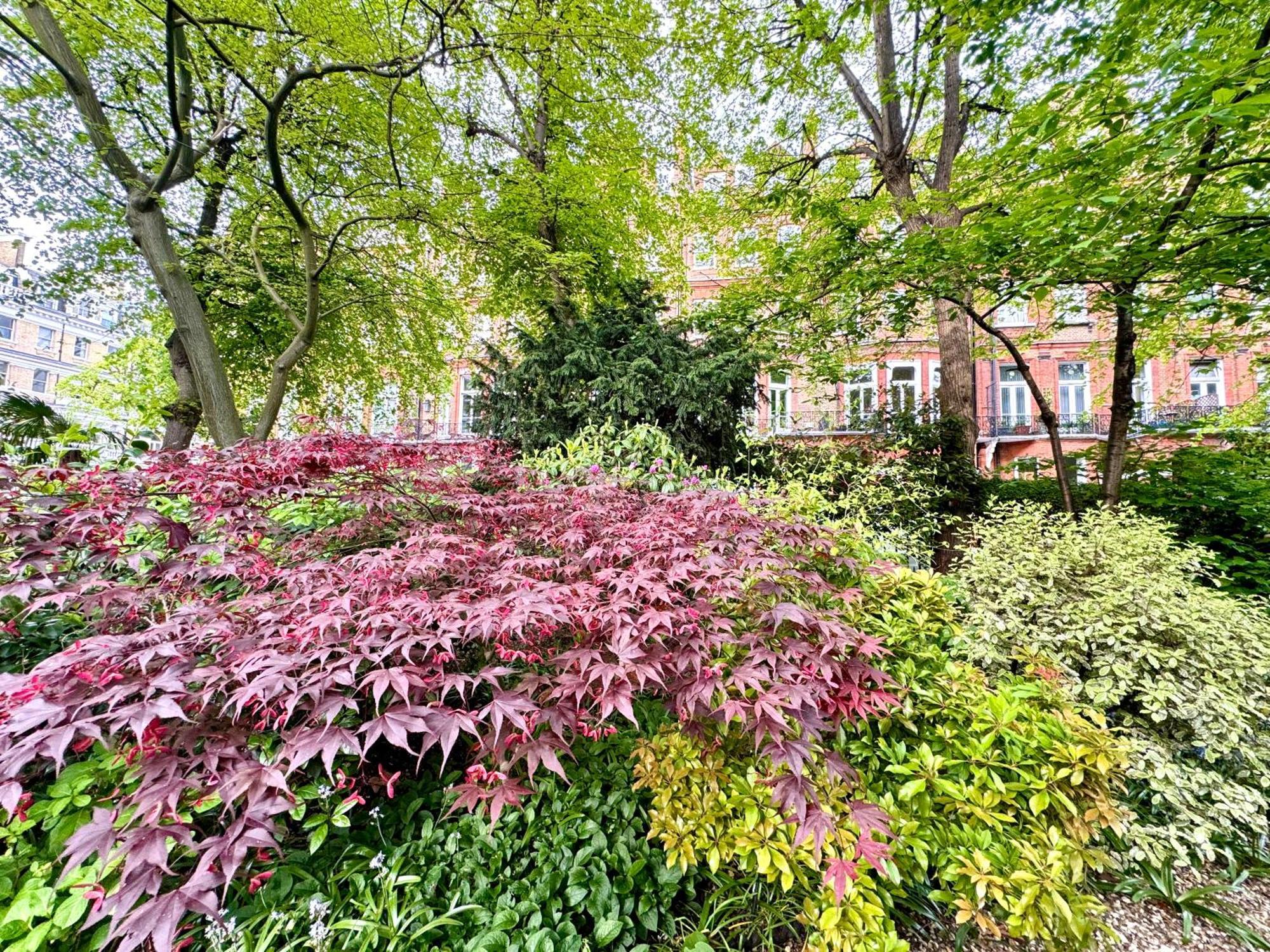 Appartement 2 Bedroom In Londen