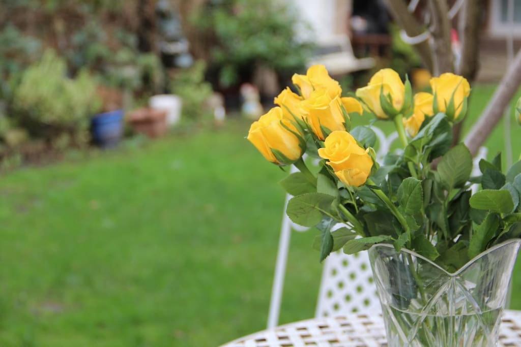 Bright Garden Studio! Leilighet London