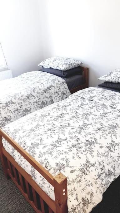 Apartment Near Alexandra Palace,