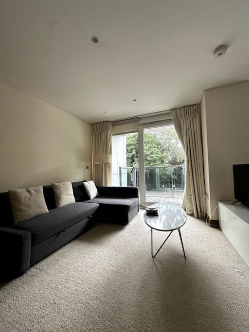 Luxury Battersea Park - Chelsea Bridge - Battersea Power Station *