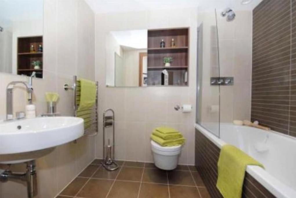 Luxury Battersea Park - Chelsea Bridge - Battersea Power Station Apartment London