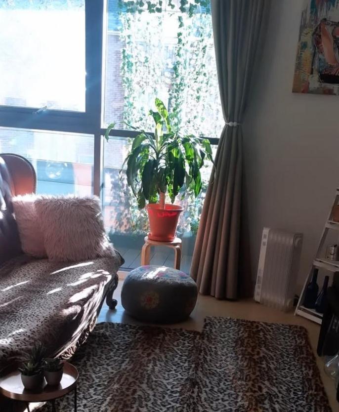 Homestay Charming & Cosy Double With Balcony In Wembley - Walking Distance To Wembley Stadium!