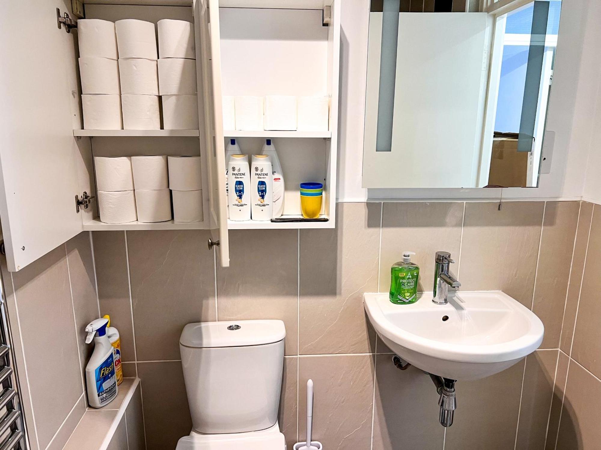 Great River Thames View Entire In The Most Central Apartahotel Londres