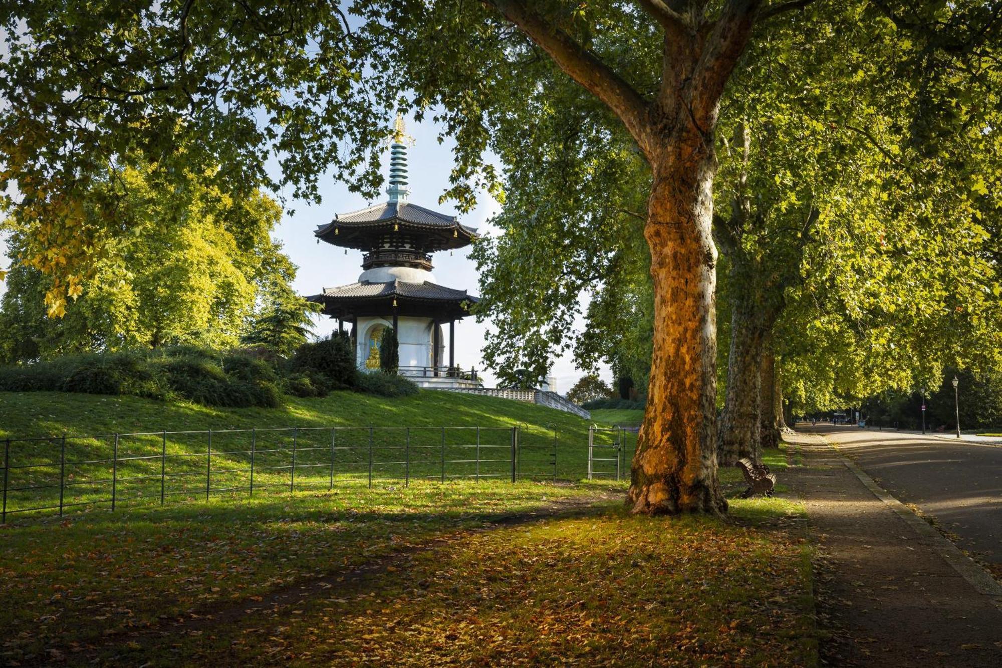 Lovely 1br Flat In Victorian Mansion In Battersea Apartment *