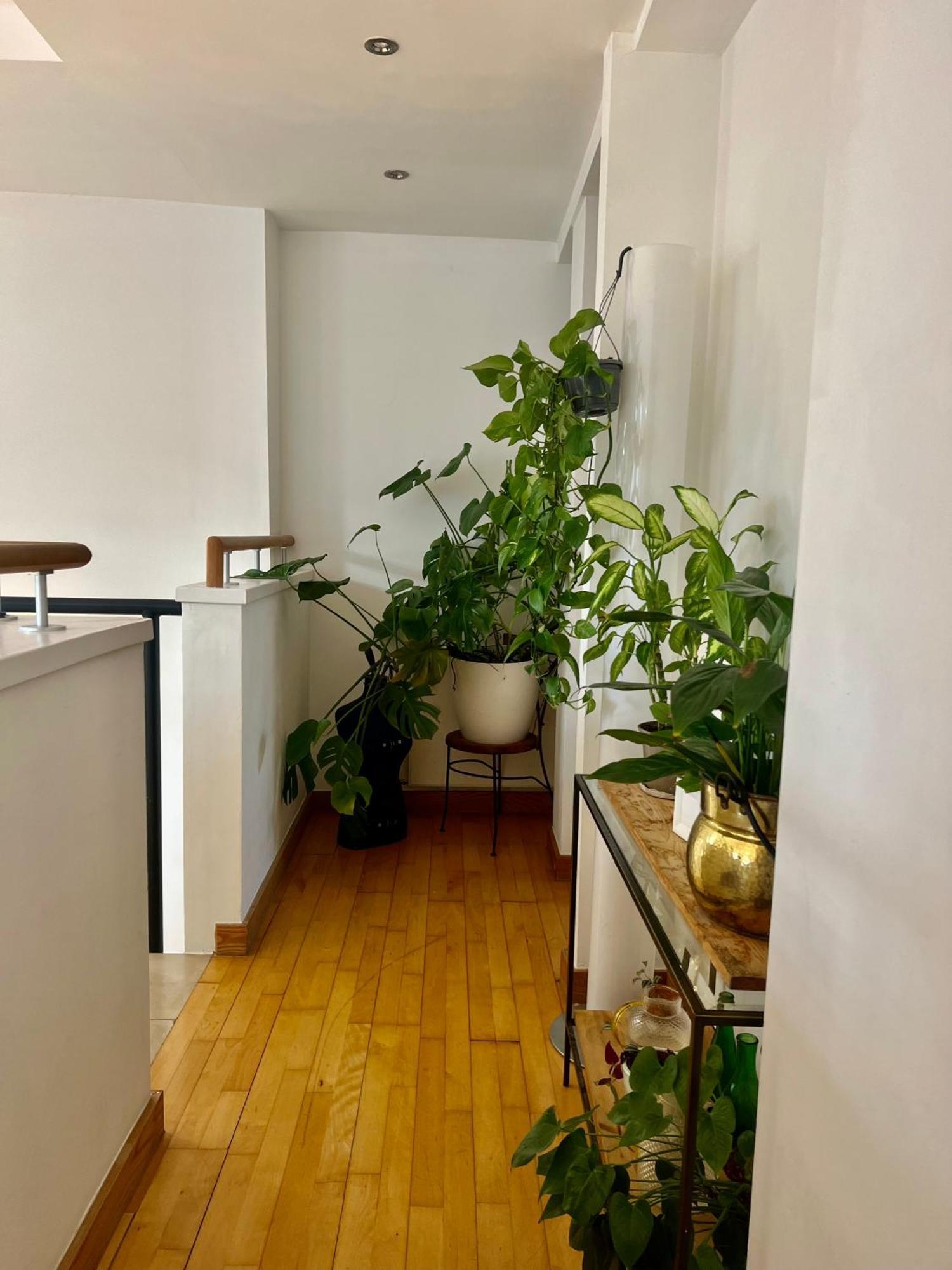 Gasthof Huge For Recharge And Relaxation In Loft With Sauna In London