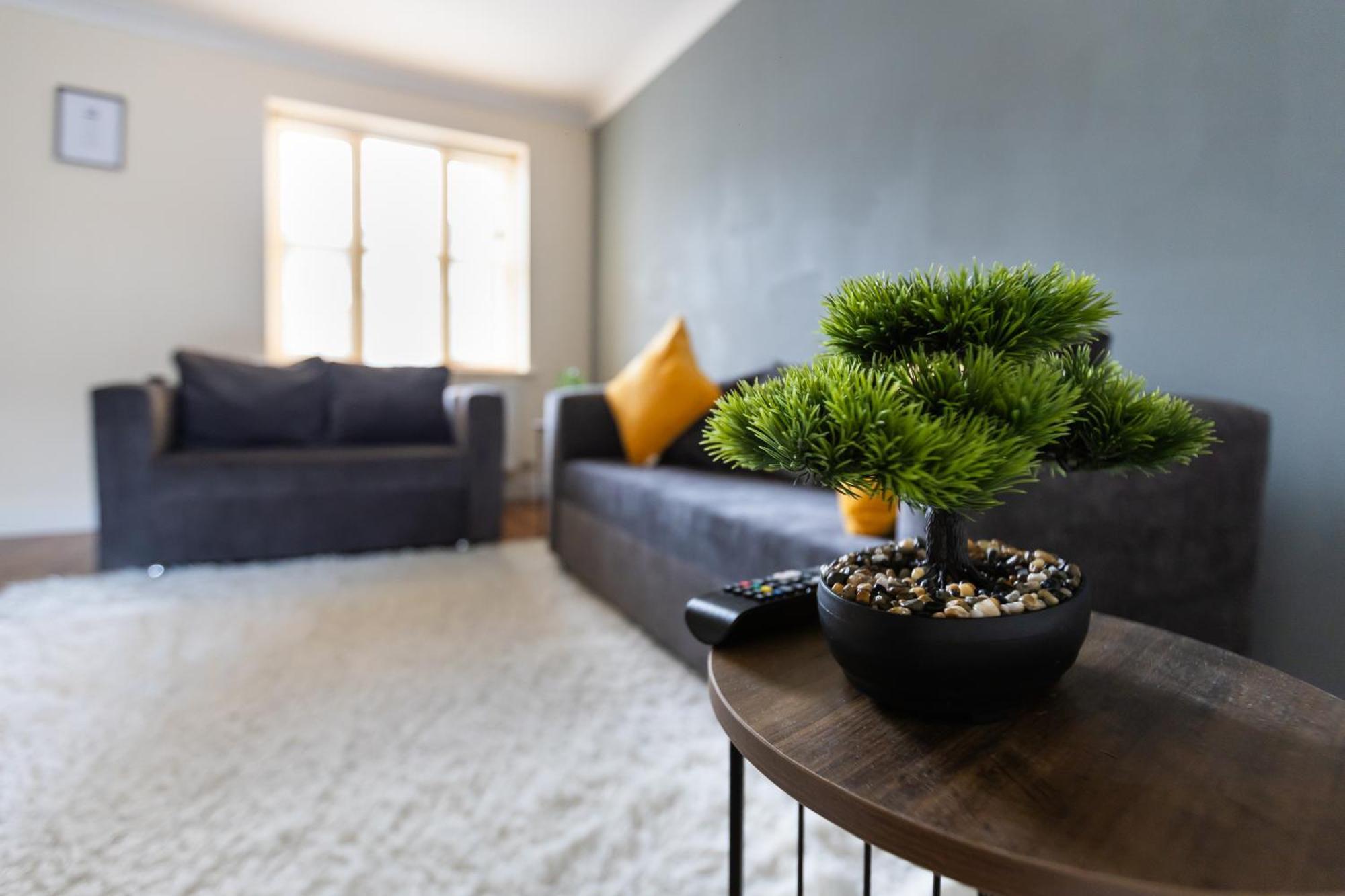 2-bed - Long Apartment *
