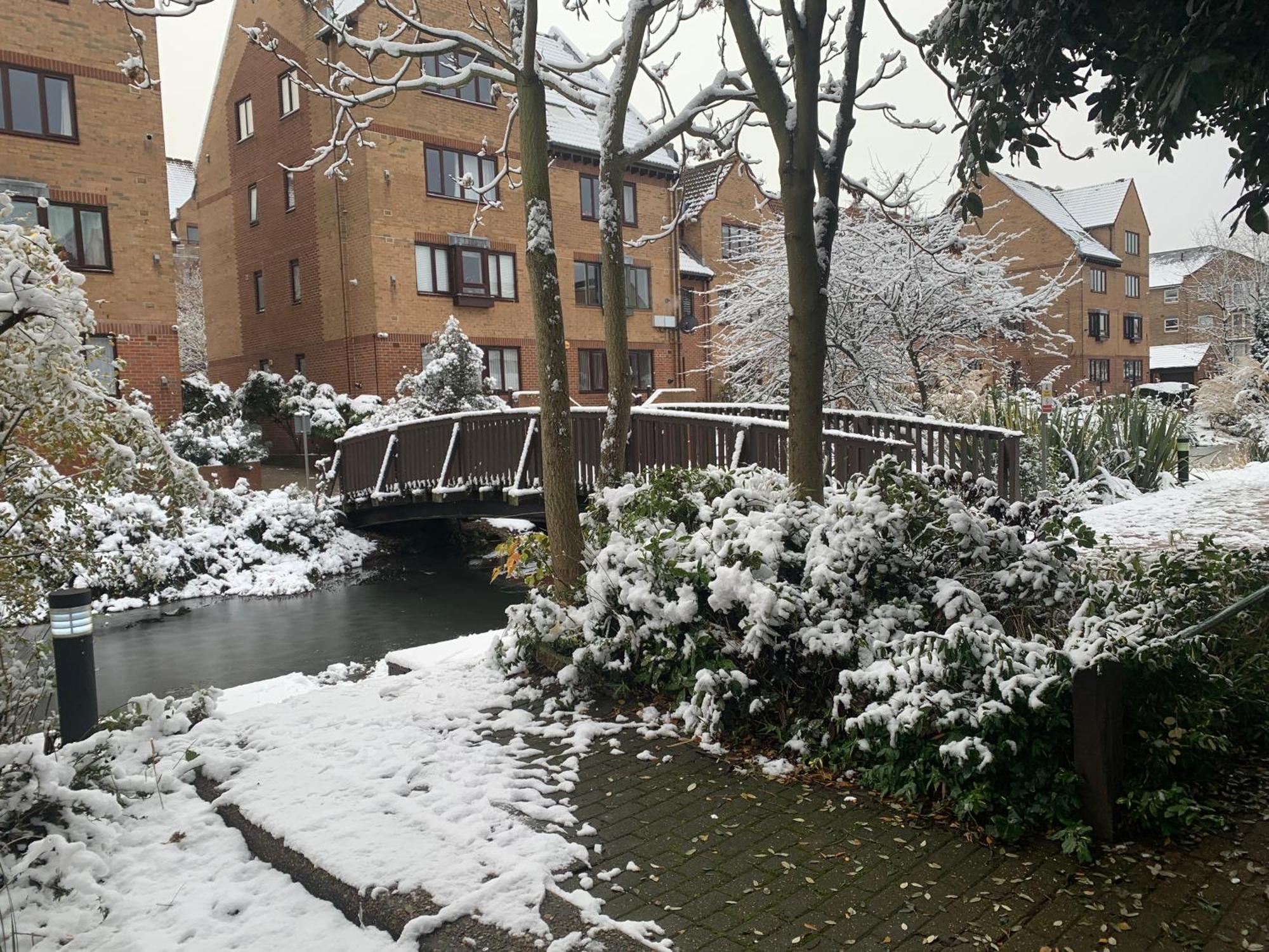 Gorgeous Pond Side House Privat overnatting
