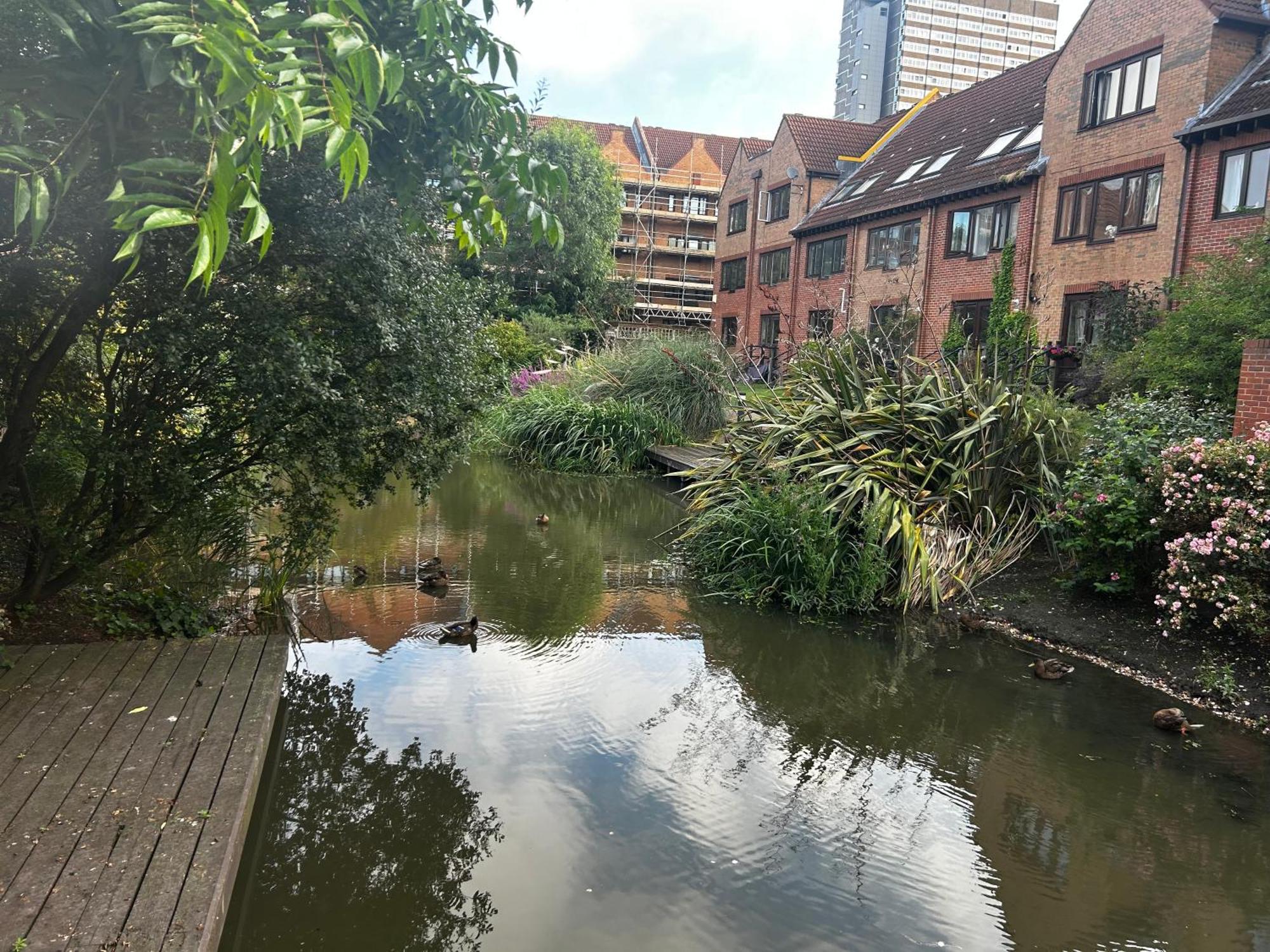 Privat overnatting Gorgeous Pond Side House