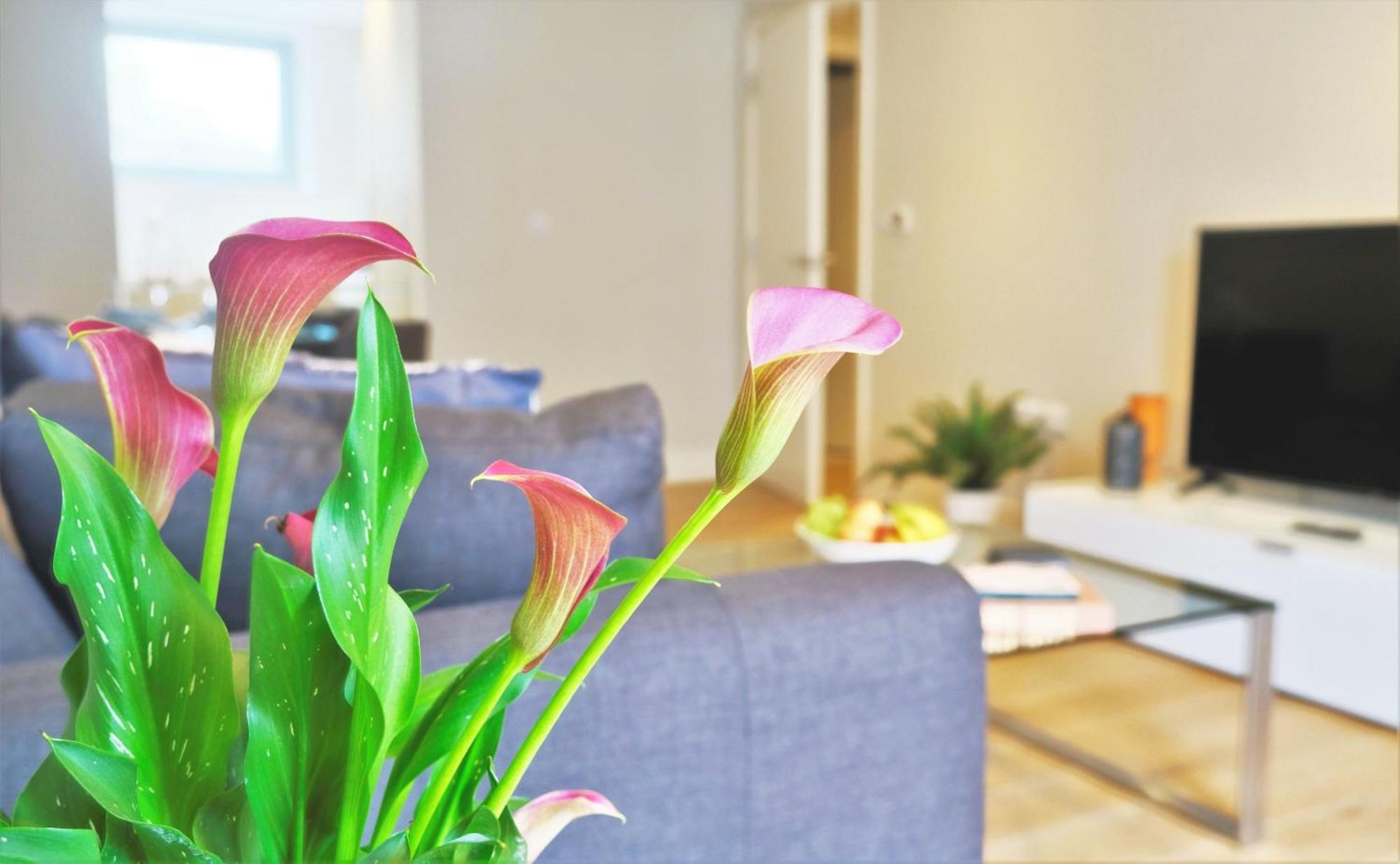 Spacious & Elegant In Southbank Near Eye Londres