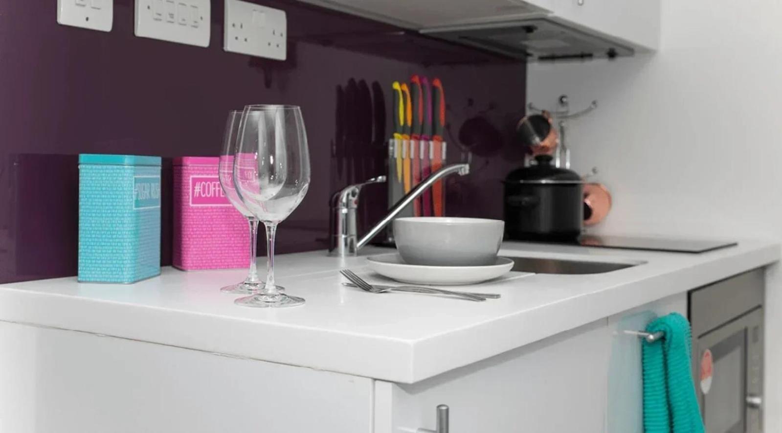 Apartment Exclusive Student Only Modern In The Heart Of Londons Academic And Cultural Hub
