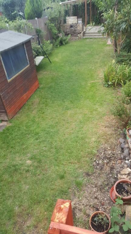 Edwardian Garden Flat London