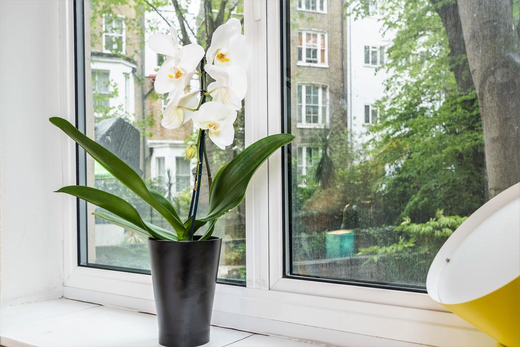 Lux South Kensington