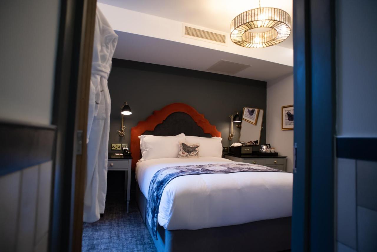 Hotel Blackbird