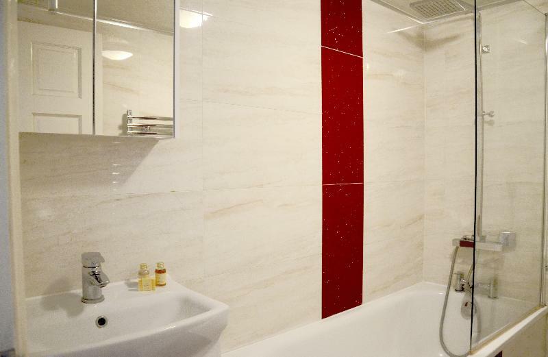 Hotel Oyo 146 Balfe Street King's X Londres