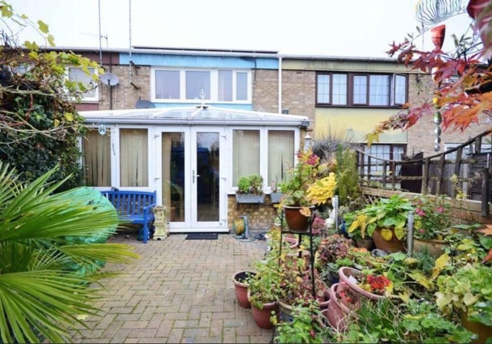 Oasis 77 *