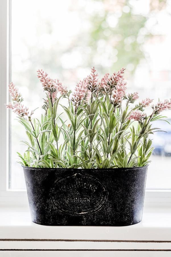 Leilighet Cs Bayswater