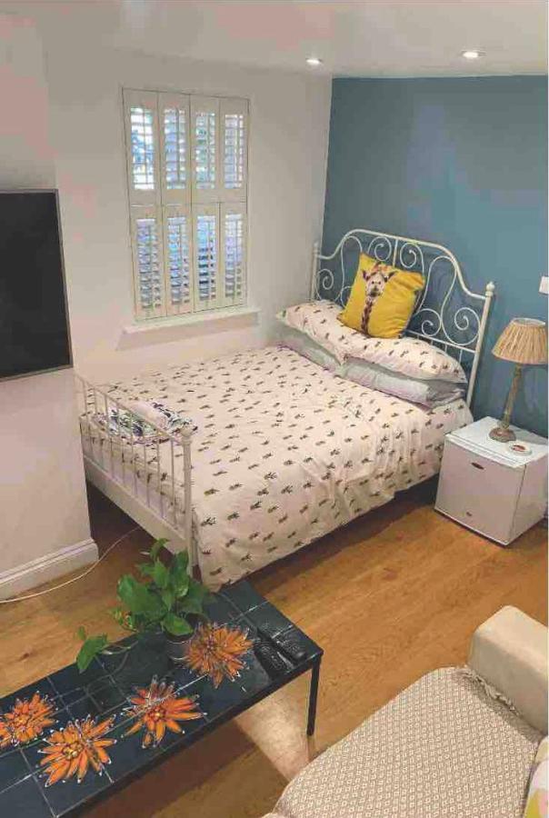 Accommodatie bij particulieren Stylish Modern Studio, Mock Georgian House, Heart Of Trendy Hackney &