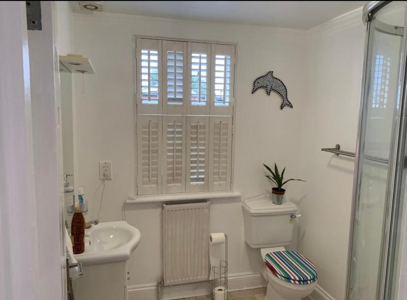 Accommodatie bij particulieren Stylish Modern Studio, Mock Georgian House, Heart Of Trendy Hackney & Londen