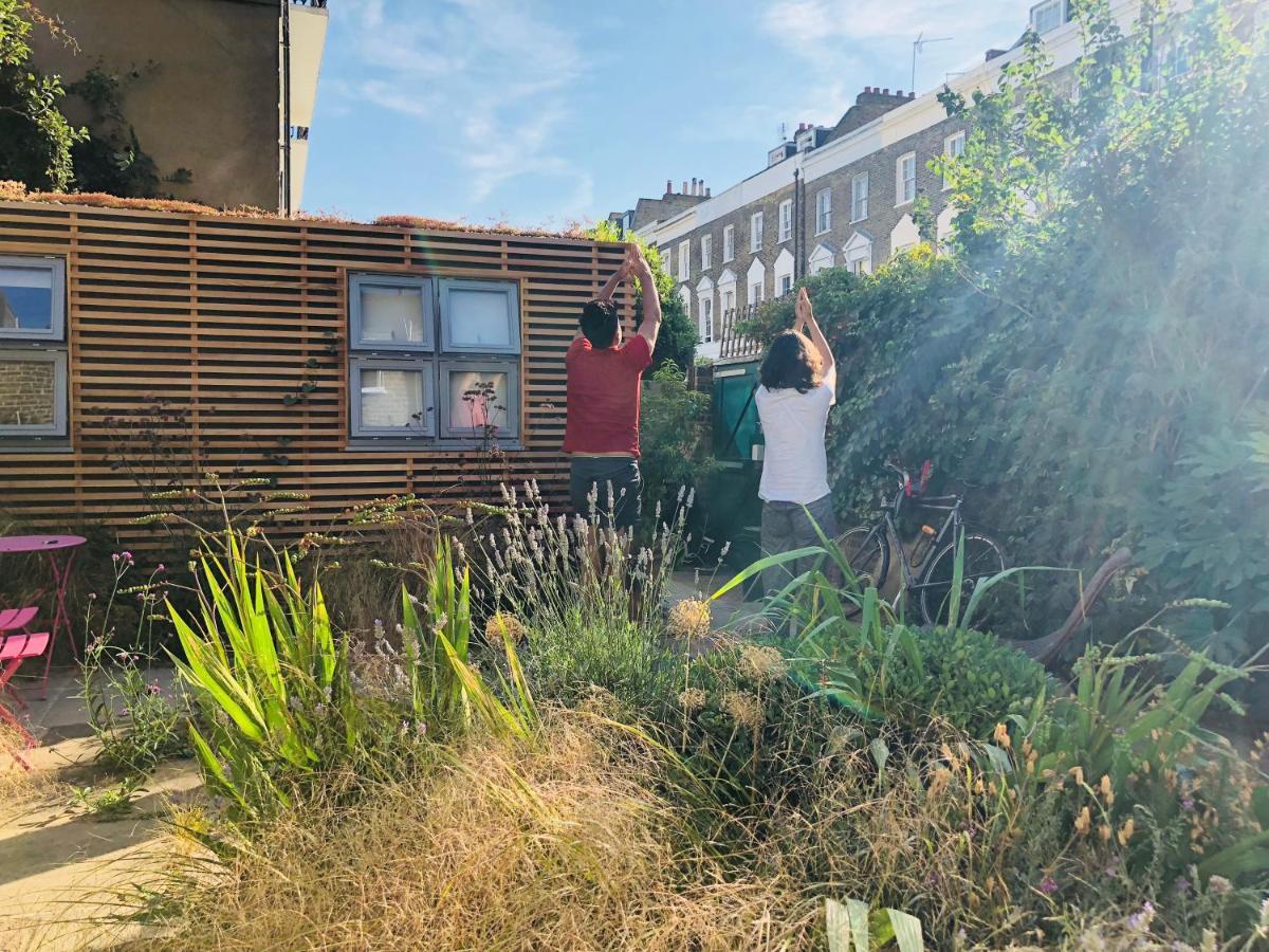 Camden Town Garden *